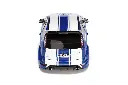 1:18 FOCUS RS MK2 24h LE MANS TRIBUTE - 2010 EDICIÓN LIMITADA NUMERADA