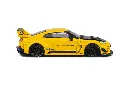 NISSAN GT-R (R35) LBWK SILHOUETTE - 2019