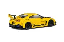 NISSAN GT-R (R35) LBWK SILHOUETTE - 2019