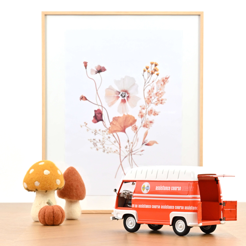 RENAULT ESTAFETTE ASISTENCIA RACING - 1968