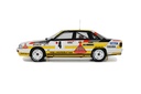AUDI 200 QUATRO MONTE CARLO - 1987 EDICION LIMITADA NUMERADA