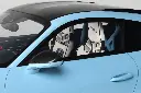 GT497-FL-DS.webp