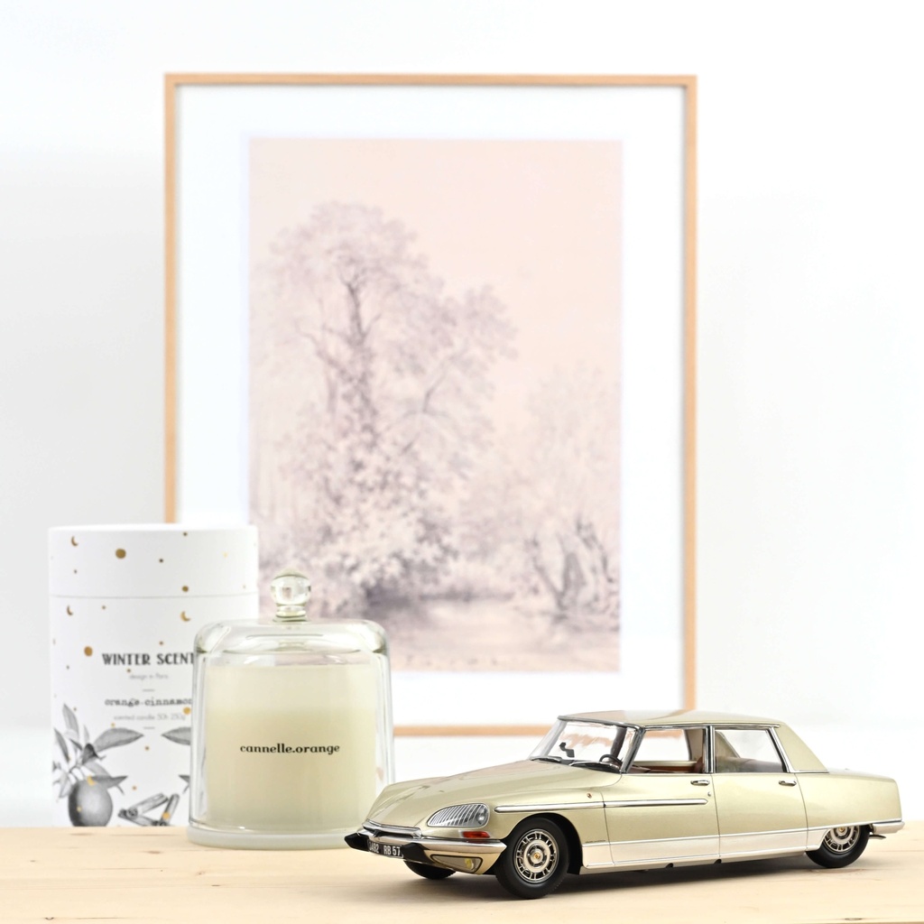 1:18 CITROËN DS 21 LORRAINE - 1969