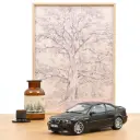 BMW E46 M3 3.0 CSL - 2003