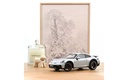 1:18 PORSCHE 911 DAKAR - 2023