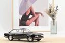 1:18 PEUGEOT 504 COUPE- 1972