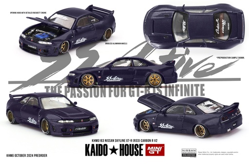 [KHMG163] NISSAN SKYLINE GT-R (R33) ACTIVE CARBON R V2 - 1995