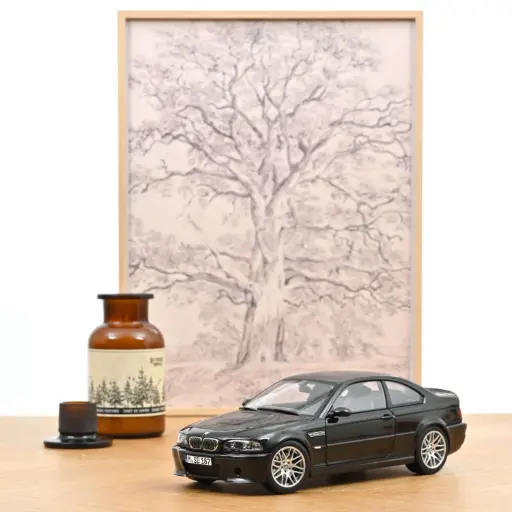 [183017] 1:18 BMW E46 M3 3.0 CSL - 2003