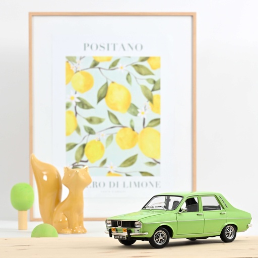 [185247] RENAULT 12 TS - 1973