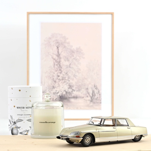 [181756] 1:18 CITROËN DS 21 LORRAINE - 1969